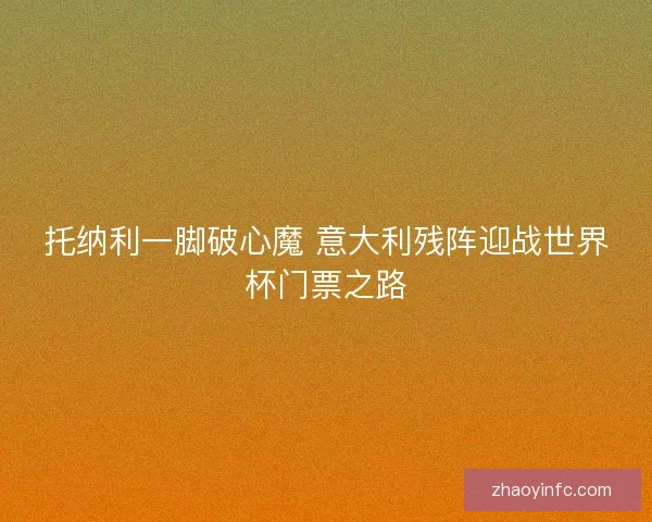 托纳利一脚破心魔 意大利残阵迎战世界杯门票之路