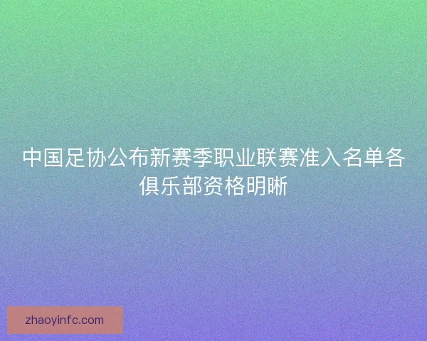 中国足协公布新赛季职业联赛准入名单各俱乐部资格明晰